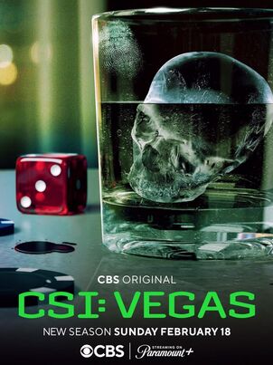 CSI: Вегас - 3 сезон - 7 серия