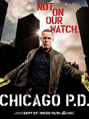 Полиция Чикаго - 2 сезон