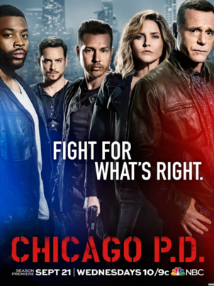 Полиция Чикаго - 10 сезон