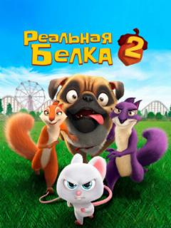 Реальная белка 2